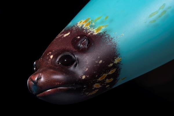 Contemporary Fine Art Glass